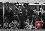 Standbild Prinzessin Anne Vereinigtes Königreich, 1955, aus Sekunde 51 historischem Filmmaterial Videoclip 65675041486