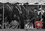 Standbild Prinzessin Anne Vereinigtes Königreich, 1955, aus Sekunde 53 historischem Filmmaterial Videoclip 65675041486