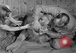 Image of Pet lion in captivity Illinois United States USA, 1954, second 11 stock footage video 65675041493