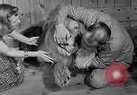 Image of Pet lion in captivity Illinois United States USA, 1954, second 12 stock footage video 65675041493