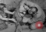 Image of Pet lion in captivity Illinois United States USA, 1954, second 13 stock footage video 65675041493
