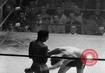 Immagine di Guanti Golden Light middleweight boxe New York City USA, 1954, secondo 50 filmato di repertorio 65675041494
