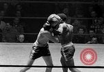 Immagine di Guanti Golden Light middleweight boxe New York City USA, 1954, secondo 56 filmato di repertorio 65675041494