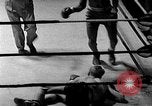 Immagine di Guanti Golden Light middleweight boxe New York City USA, 1954, secondo 60 filmato di repertorio 65675041494