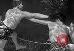 Immagine di Boxe subacquea Silver Springs Florida USA, 1954, secondo 30 filmato di repertorio 65675041495