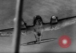 Image of German Luftwaffe Dunkirk France, 1940, second 49 stock footage video 65675041497