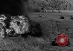 Image of tanks outfitted with hedgerow cutters and flame throwers Europe, 1944, second 47 stock footage video 65675041512