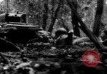 Standbild Deutschland Infanterie Frankreich, 1944, aus Sekunde 51 historischem Filmmaterial Videoclip 65675041514