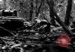 Standbild Deutschland Infanterie Frankreich, 1944, aus Sekunde 52 historischem Filmmaterial Videoclip 65675041514
