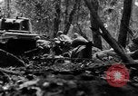 Standbild Deutschland Infanterie Frankreich, 1944, aus Sekunde 54 historischem Filmmaterial Videoclip 65675041514
