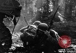 Standbild Deutschland Infanterie Frankreich, 1944, aus Sekunde 56 historischem Filmmaterial Videoclip 65675041514