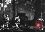 Standbild Deutschland Infanterie Frankreich, 1944, aus Sekunde 59 historischem Filmmaterial Videoclip 65675041514