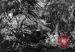 Image of Buna campaign world war 2 New Guinea, 1943, second 9 stock footage video 65675041520