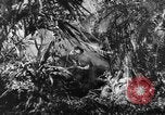 Image of Buna campaign world war 2 New Guinea, 1943, second 11 stock footage video 65675041520