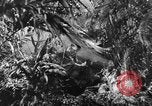 Image of Buna campaign world war 2 New Guinea, 1943, second 13 stock footage video 65675041520