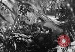 Image of Buna campaign world war 2 New Guinea, 1943, second 19 stock footage video 65675041520