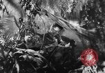 Image of Buna campaign world war 2 New Guinea, 1943, second 20 stock footage video 65675041520