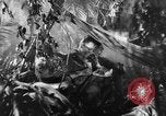 Image of Buna campaign world war 2 New Guinea, 1943, second 21 stock footage video 65675041520