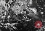 Image of Buna campaign world war 2 New Guinea, 1943, second 22 stock footage video 65675041520