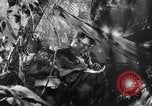Image of Buna campaign world war 2 New Guinea, 1943, second 23 stock footage video 65675041520