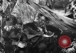 Image of Buna campaign world war 2 New Guinea, 1943, second 25 stock footage video 65675041520