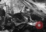 Image of Buna campaign world war 2 New Guinea, 1943, second 29 stock footage video 65675041520