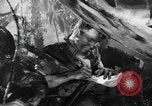 Image of Buna campaign world war 2 New Guinea, 1943, second 30 stock footage video 65675041520