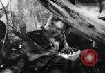 Image of Buna campaign world war 2 New Guinea, 1943, second 33 stock footage video 65675041520