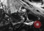 Image of Buna campaign world war 2 New Guinea, 1943, second 35 stock footage video 65675041520