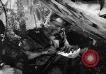 Image of Buna campaign world war 2 New Guinea, 1943, second 37 stock footage video 65675041520