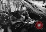 Image of Buna campaign world war 2 New Guinea, 1943, second 43 stock footage video 65675041520