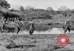 Image of Buna campaign world war 2 New Guinea, 1943, second 59 stock footage video 65675041520