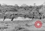 Image of Buna campaign world war 2 New Guinea, 1943, second 60 stock footage video 65675041520