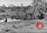 Image of Buna campaign world war 2 New Guinea, 1943, second 61 stock footage video 65675041520