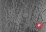 Image of Eighth Air Force Germany, 1944, second 58 stock footage video 65675041522