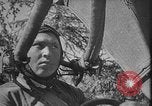 Image of attack on Leningrad Russia, 1941, second 25 stock footage video 65675041526