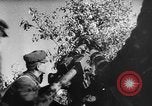 Image of attack on Leningrad Russia, 1941, second 47 stock footage video 65675041526