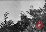 Image of attack on Leningrad Russia, 1941, second 48 stock footage video 65675041526