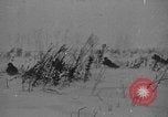 Image of Leningrad blockade Russia, 1941, second 35 stock footage video 65675041527