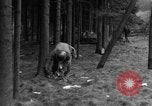 Image Infantry 'Osterode Allemagne, 1945, de la seconde 15 séquences d'archives historiques vidéo 65675041531