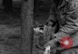 Image Infantry 'Osterode Allemagne, 1945, de la seconde 18 séquences d'archives historiques vidéo 65675041531