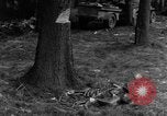 Image Infantry 'Osterode Allemagne, 1945, de la seconde 20 séquences d'archives historiques vidéo 65675041531
