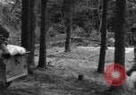 Image Infantry 'Osterode Allemagne, 1945, de la seconde 37 séquences d'archives historiques vidéo 65675041531