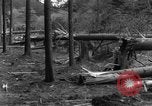 Image Infantry 'Osterode Allemagne, 1945, de la seconde 40 séquences d'archives historiques vidéo 65675041531