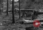 Image Infantry 'Osterode Allemagne, 1945, de la seconde 41 séquences d'archives historiques vidéo 65675041531