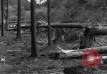 Image Infantry 'Osterode Allemagne, 1945, de la seconde 42 séquences d'archives historiques vidéo 65675041531