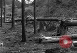 Image Infantry 'Osterode Allemagne, 1945, de la seconde 43 séquences d'archives historiques vidéo 65675041531