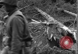 Image Infantry 'Osterode Allemagne, 1945, de la seconde 49 séquences d'archives historiques vidéo 65675041531