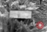 Image Infantry 'Osterode Allemagne, 1945, de la seconde 50 séquences d'archives historiques vidéo 65675041531