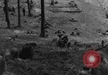 Image Troupes de US 16e Régiment d'infanterie Andreasberg avance vers St Allemagne, 1945, de la seconde 32 séquences d'archives historiques vidéo 65675041534